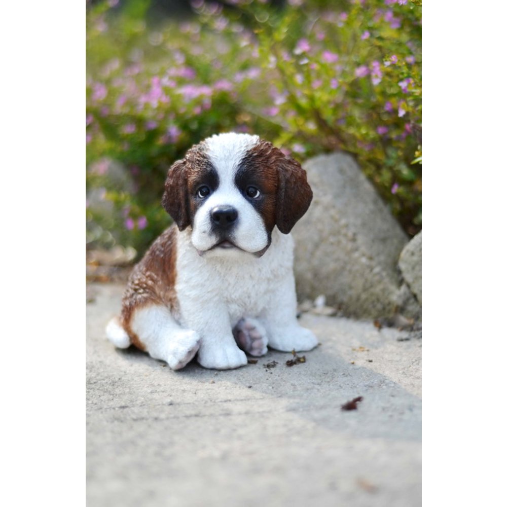 Saint Bernard Puppy. Picture 6