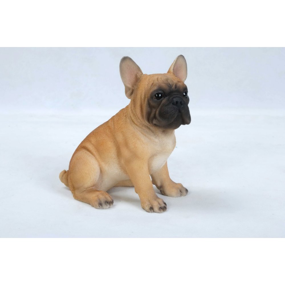 French Bulldog Puppy. Picture 1
