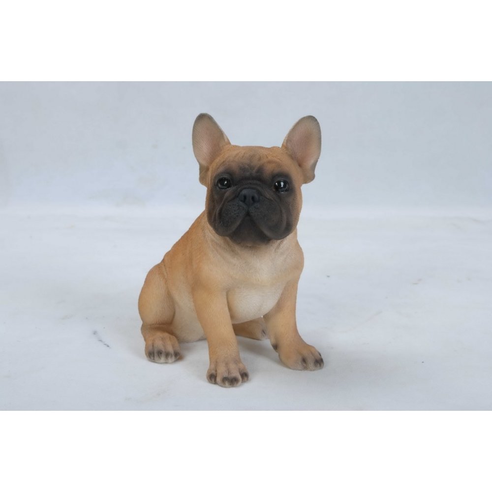 French Bulldog Puppy. Picture 2