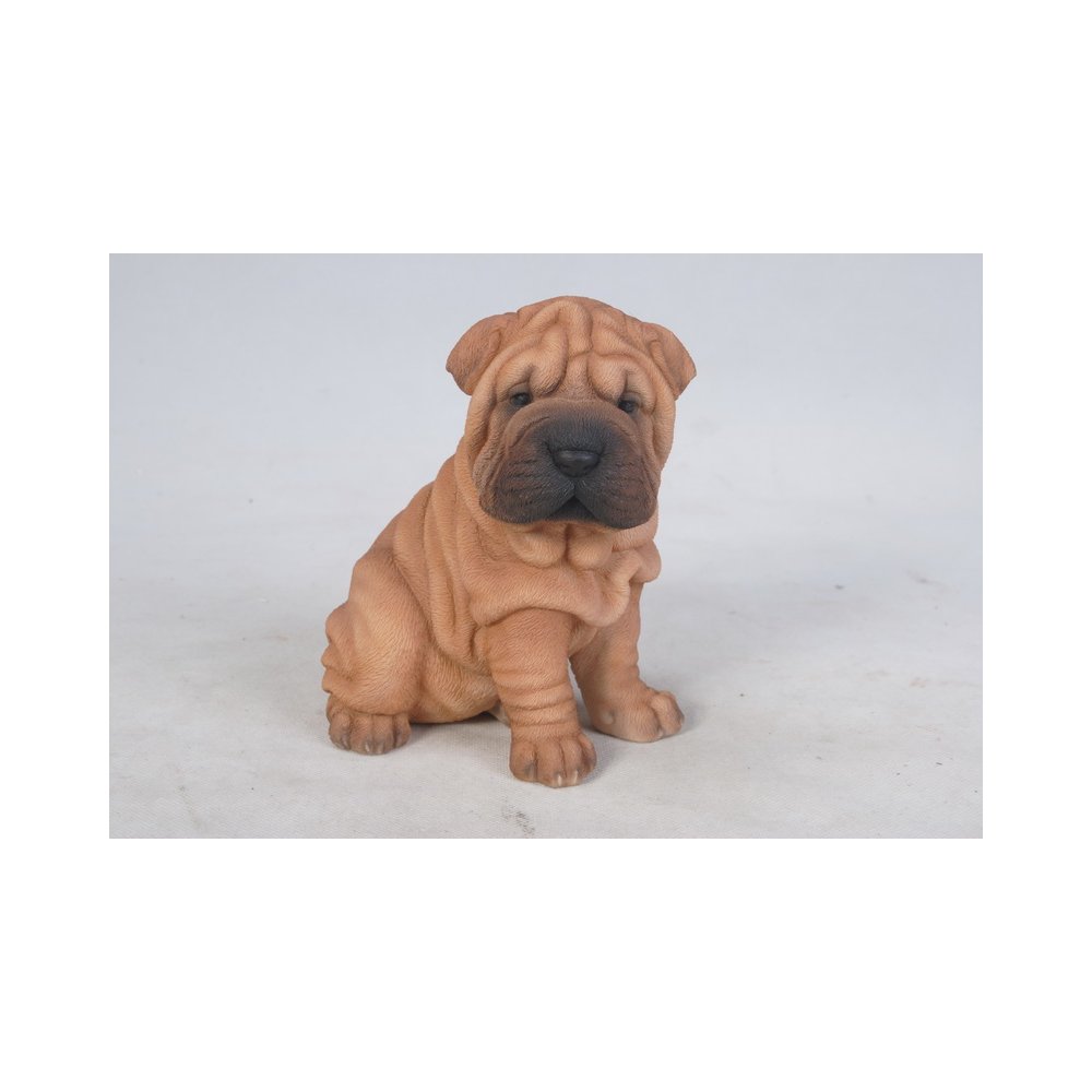 Shar Pei Puppy. Picture 2