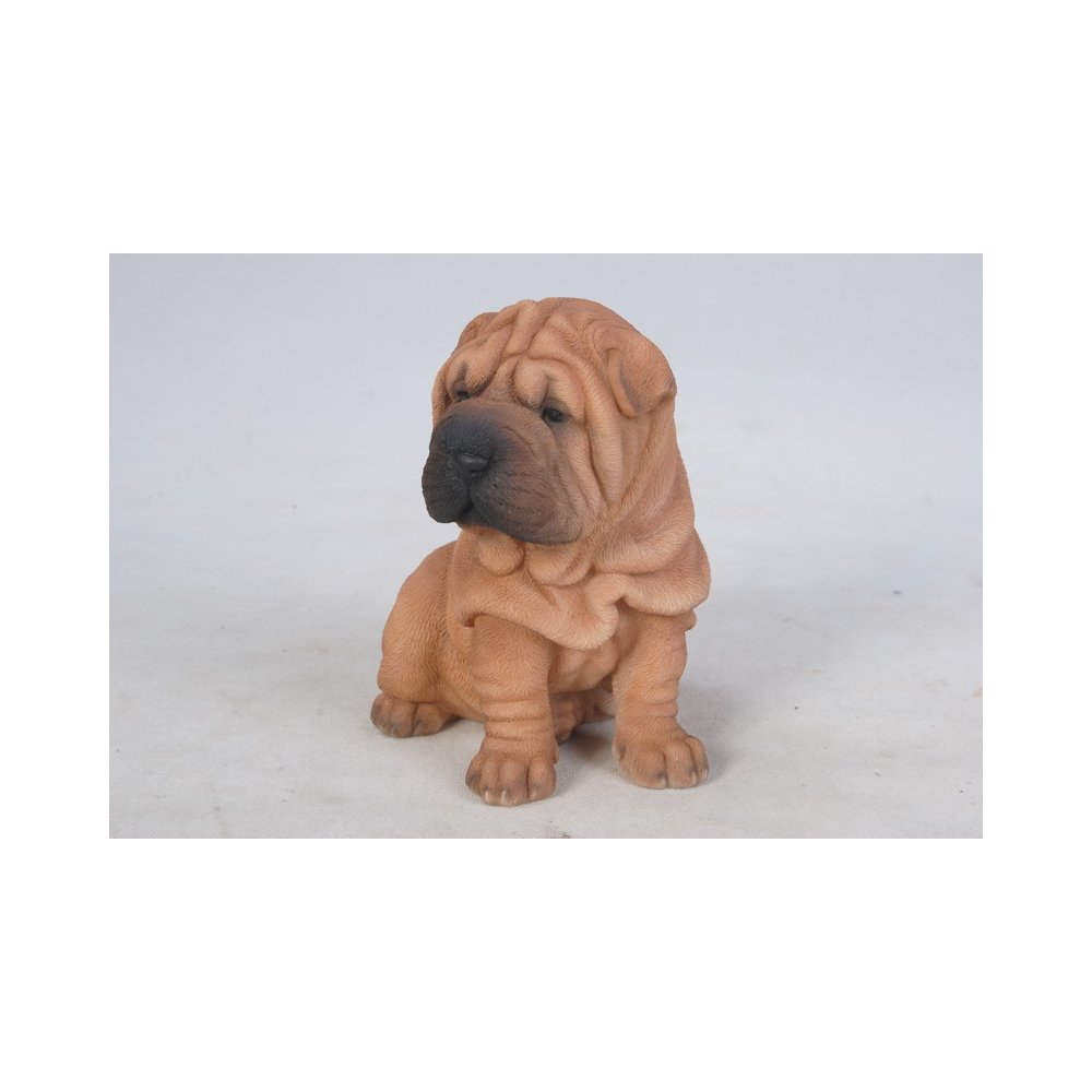 Shar Pei Puppy. Picture 1