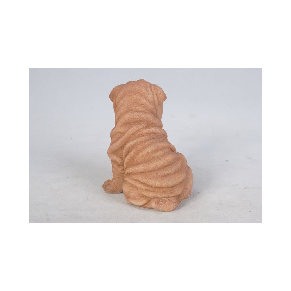 Shar Pei Puppy. Picture 4