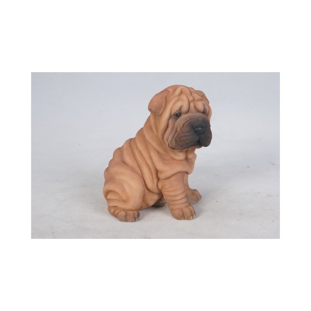 Shar Pei Puppy. Picture 3