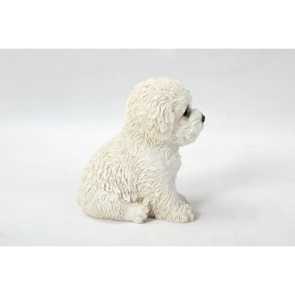 Bichon Frise Puppy. Picture 4