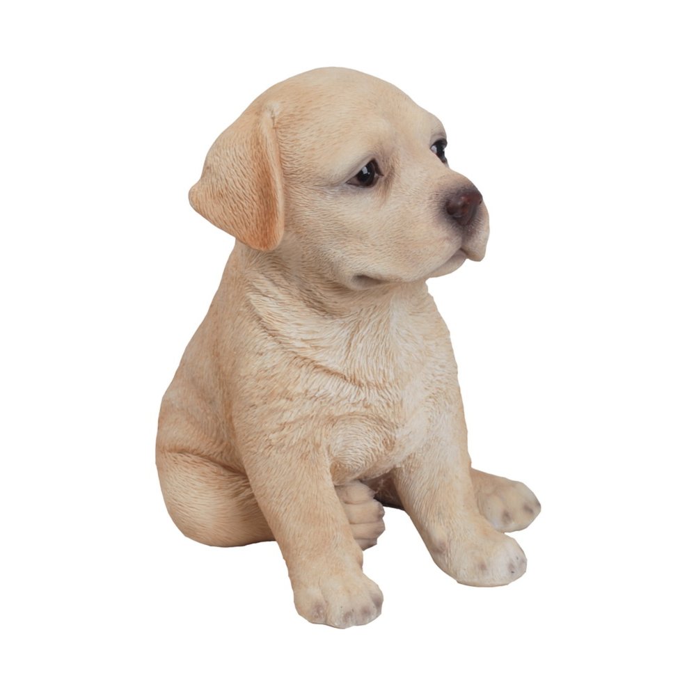 Yellow Labrador Puppy. Picture 1