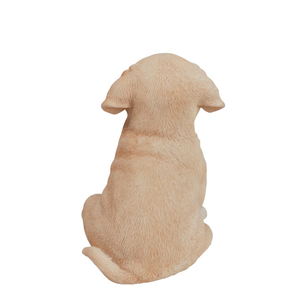 Yellow Labrador Puppy. Picture 4