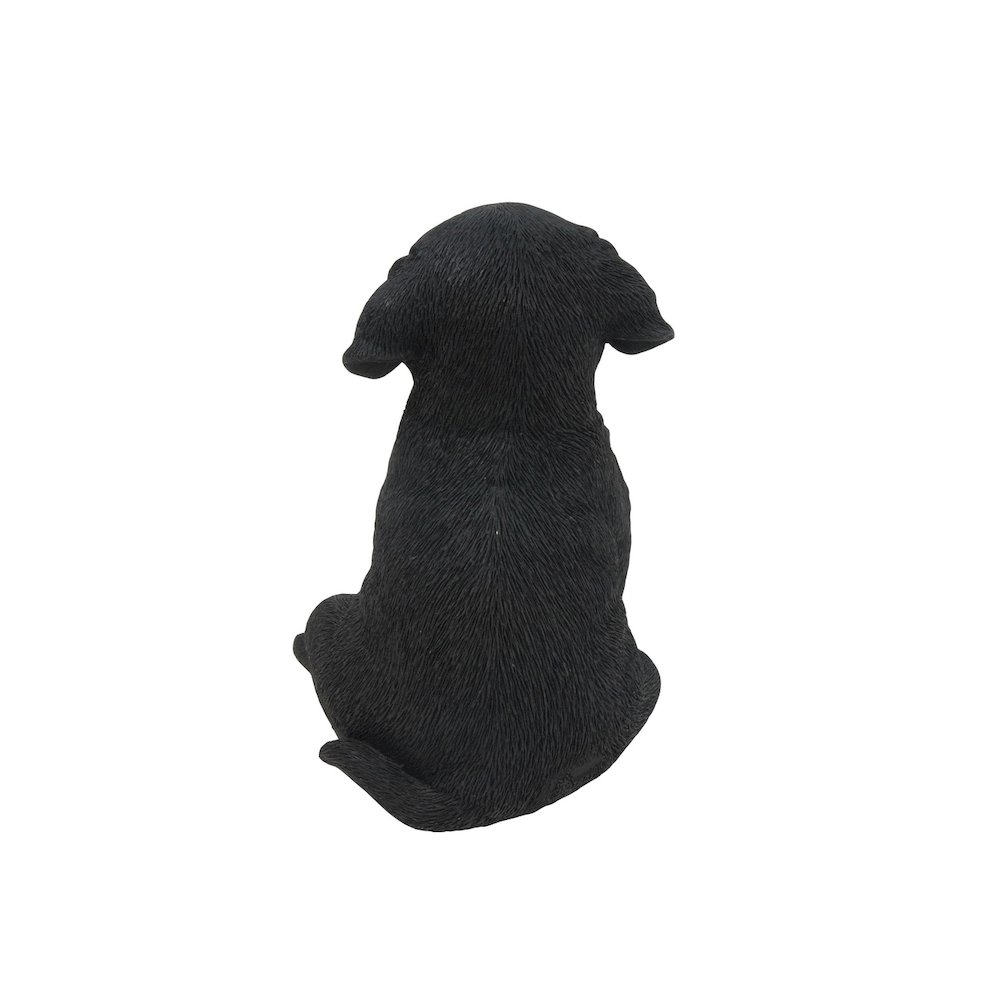 Black Labrador Puppy. Picture 4