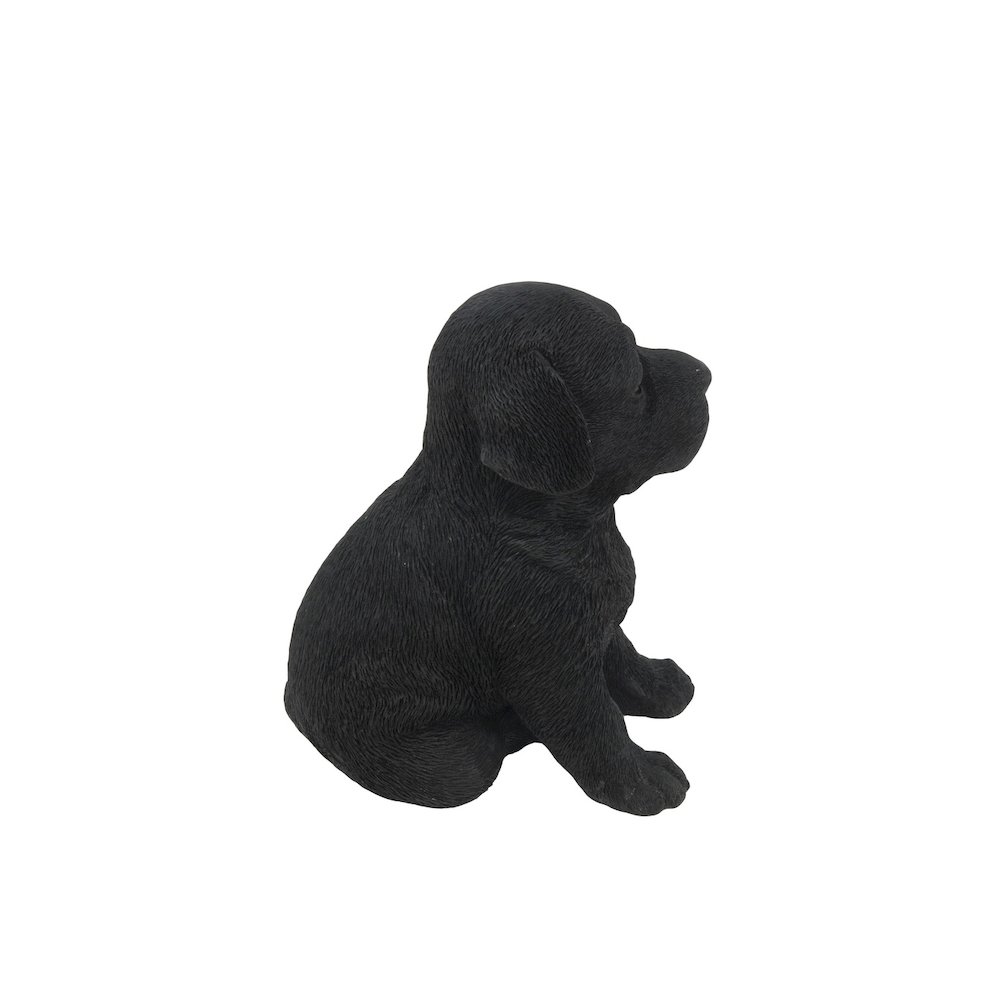 Black Labrador Puppy. Picture 3