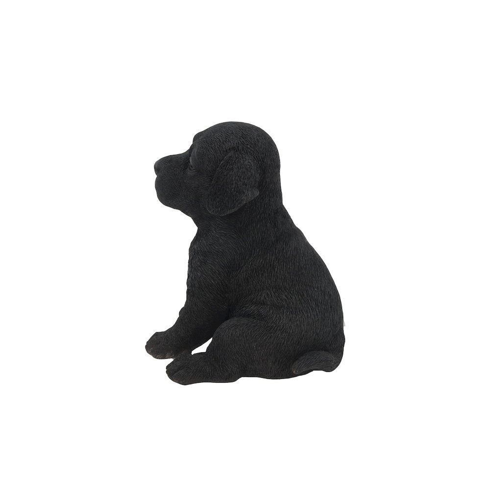 Black Labrador Puppy. Picture 1