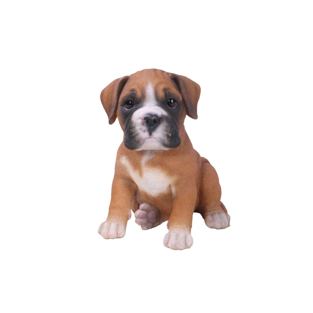 Boxer Puppy. Picture 2