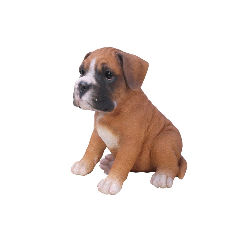 Boxer Puppy. Picture 4