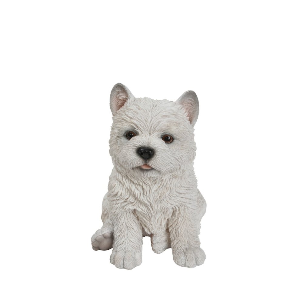 White Terrier Puppy. Picture 2