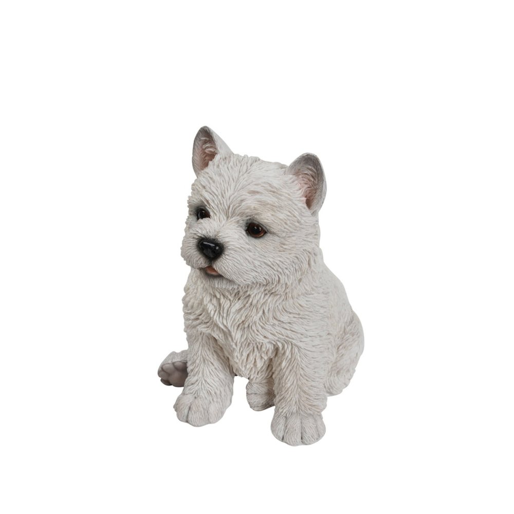 White Terrier Puppy. Picture 1