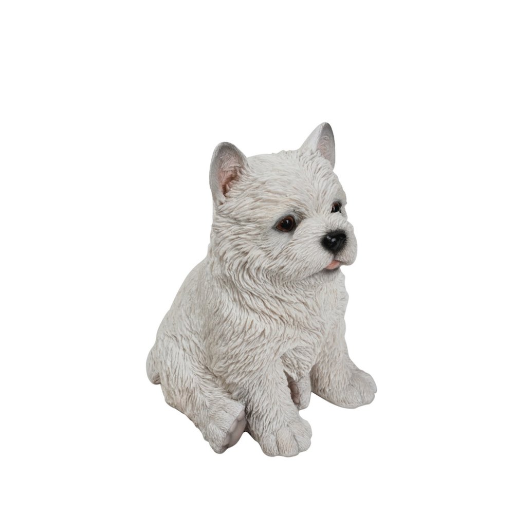 White Terrier Puppy. Picture 3