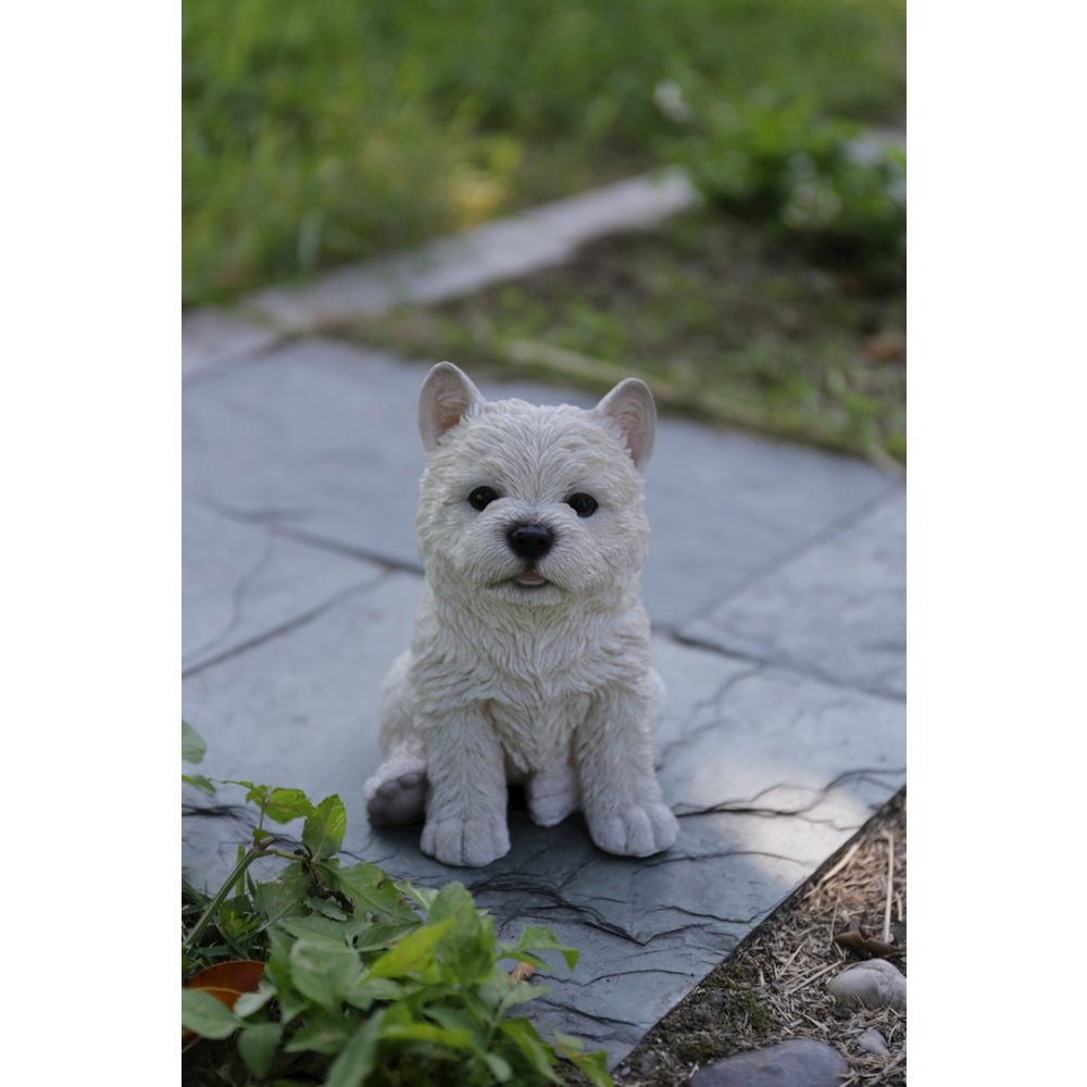 White Terrier Puppy. Picture 5