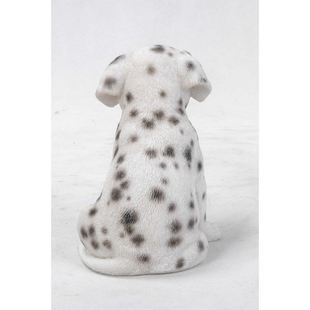 Dalmatian Puppy Statue. Picture 4