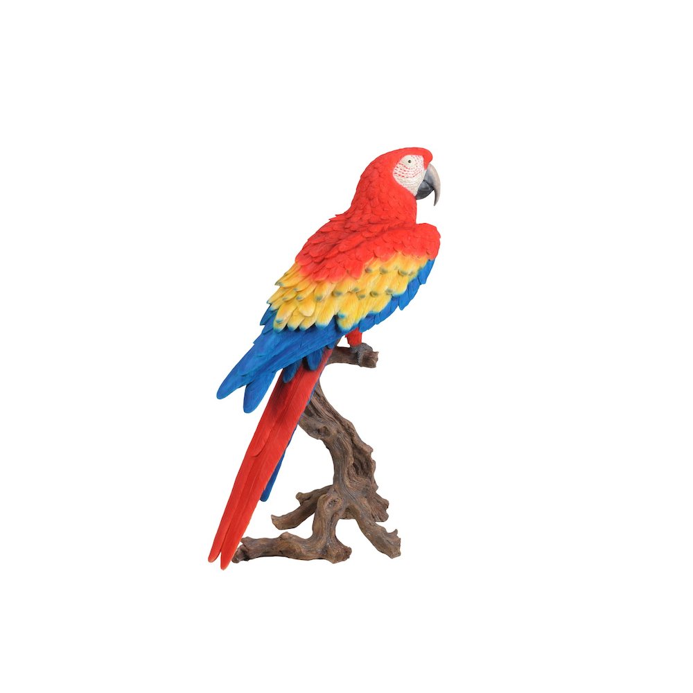 Large Scarlet Macaw Statue. Picture 3