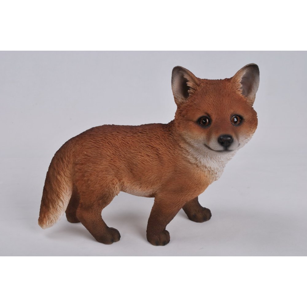 Fox Pup Standing. Picture 2