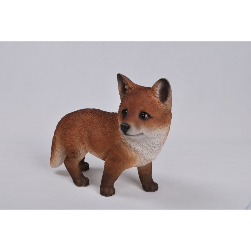 Fox Pup Standing. Picture 1