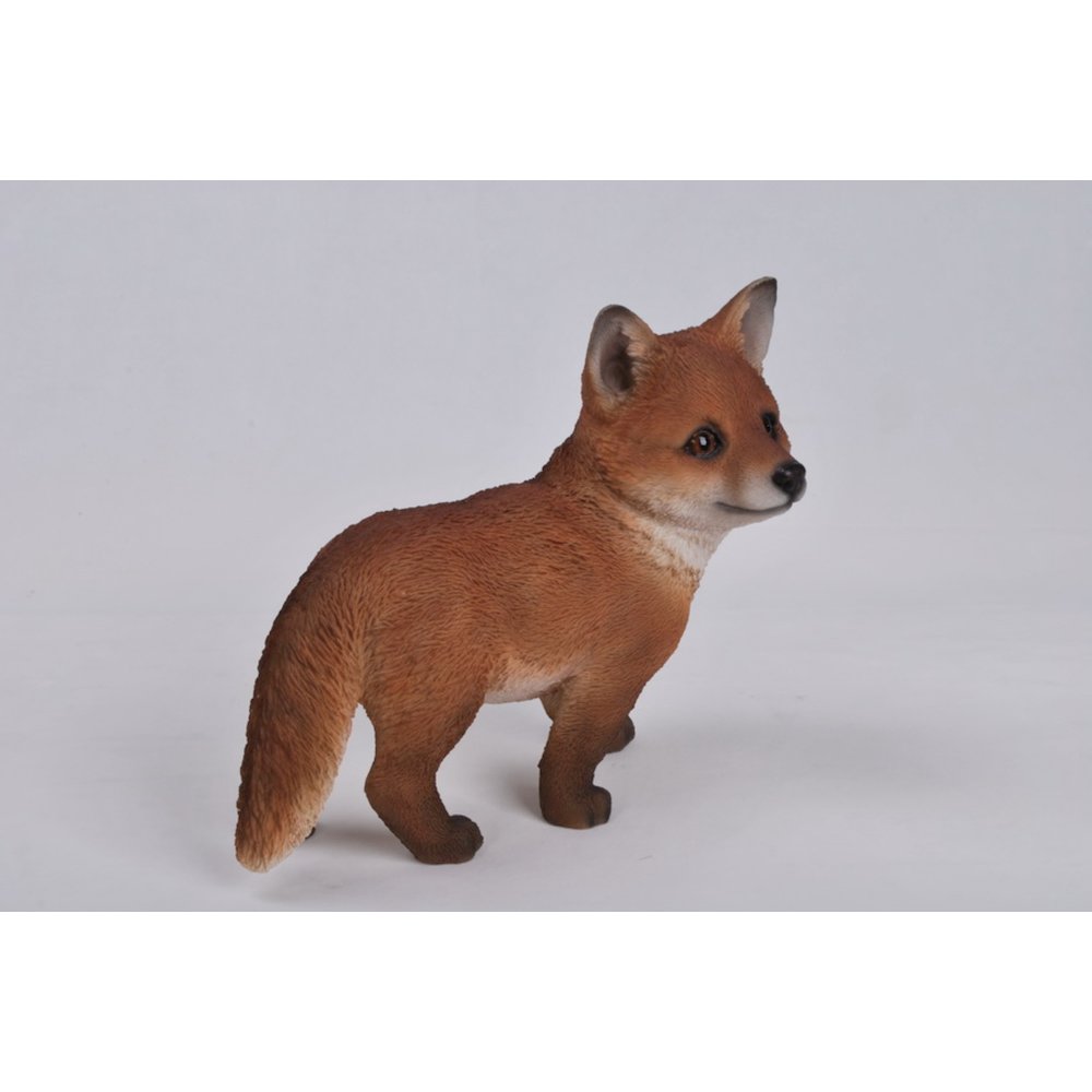 Fox Pup Standing. Picture 4