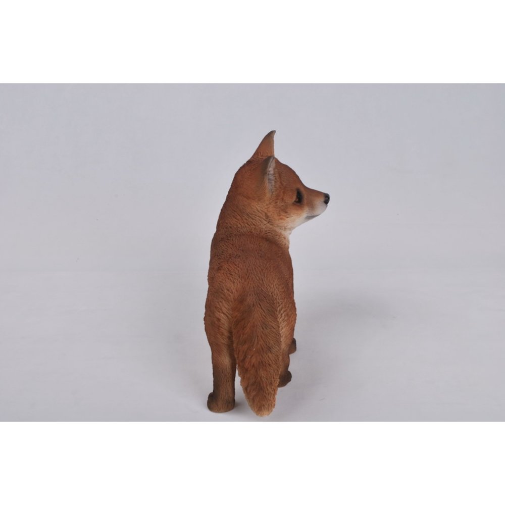 Fox Pup Standing. Picture 3