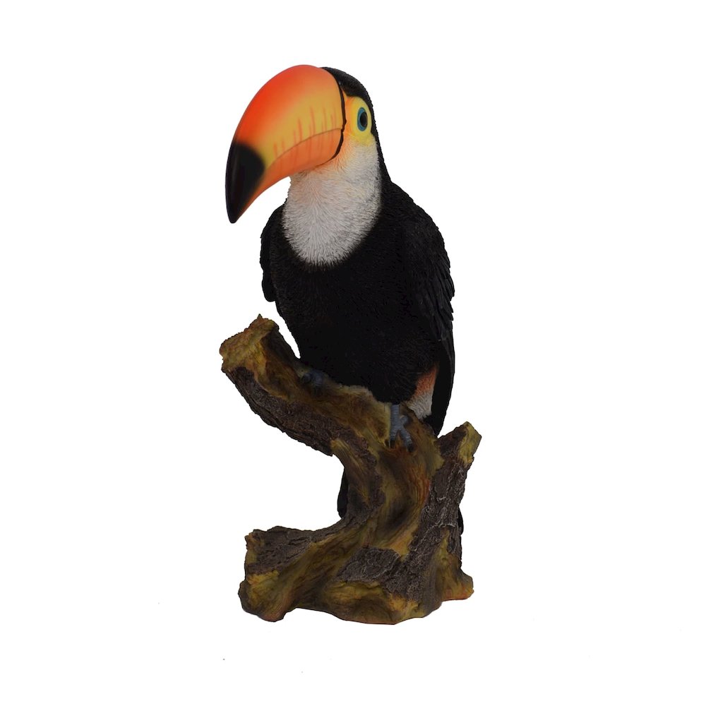 Toucan On Stump Statue. Picture 5