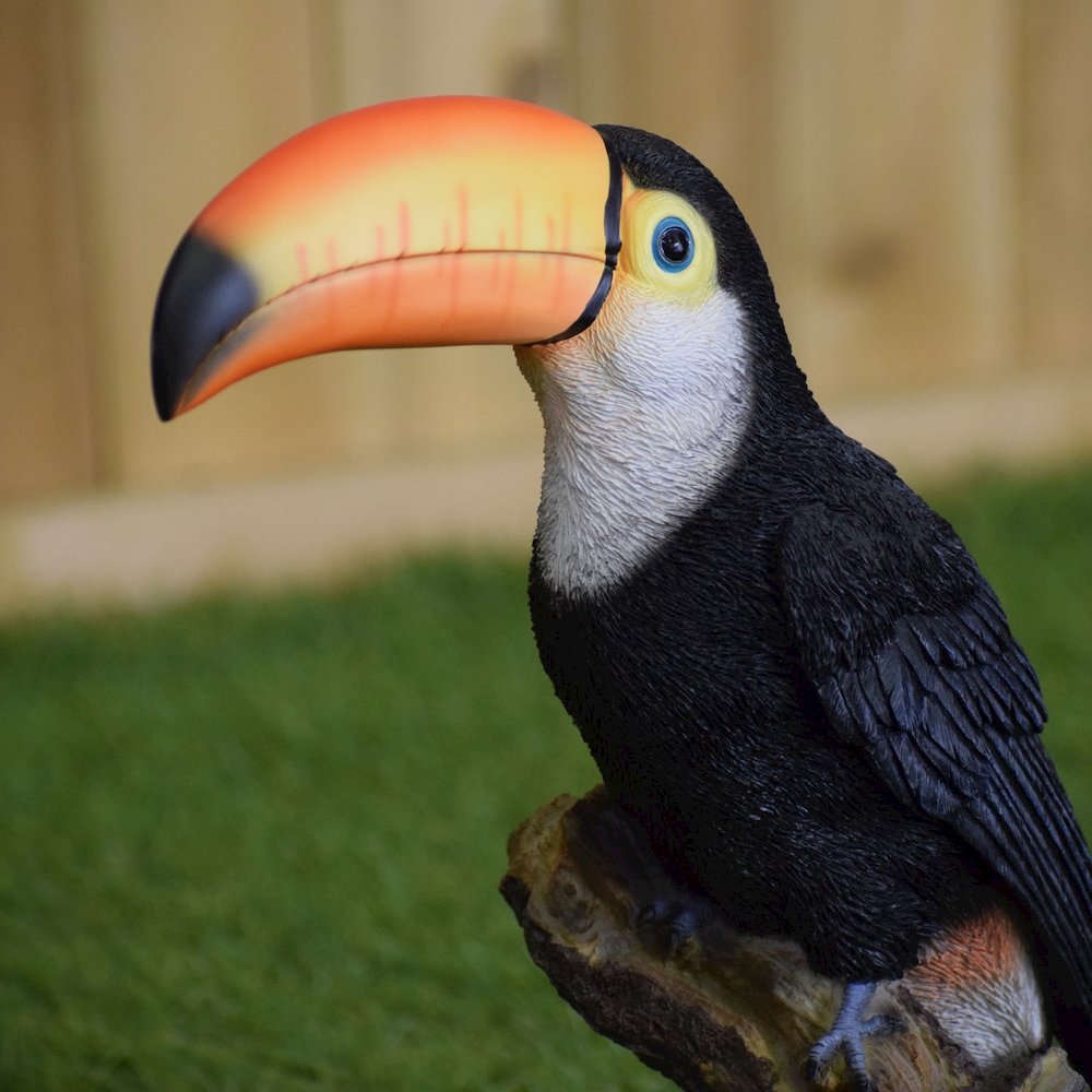 Toucan On Stump Statue. Picture 6