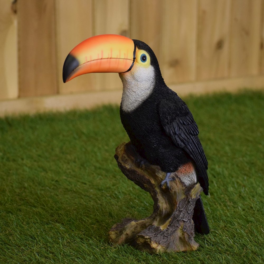 Toucan On Stump Statue. Picture 4