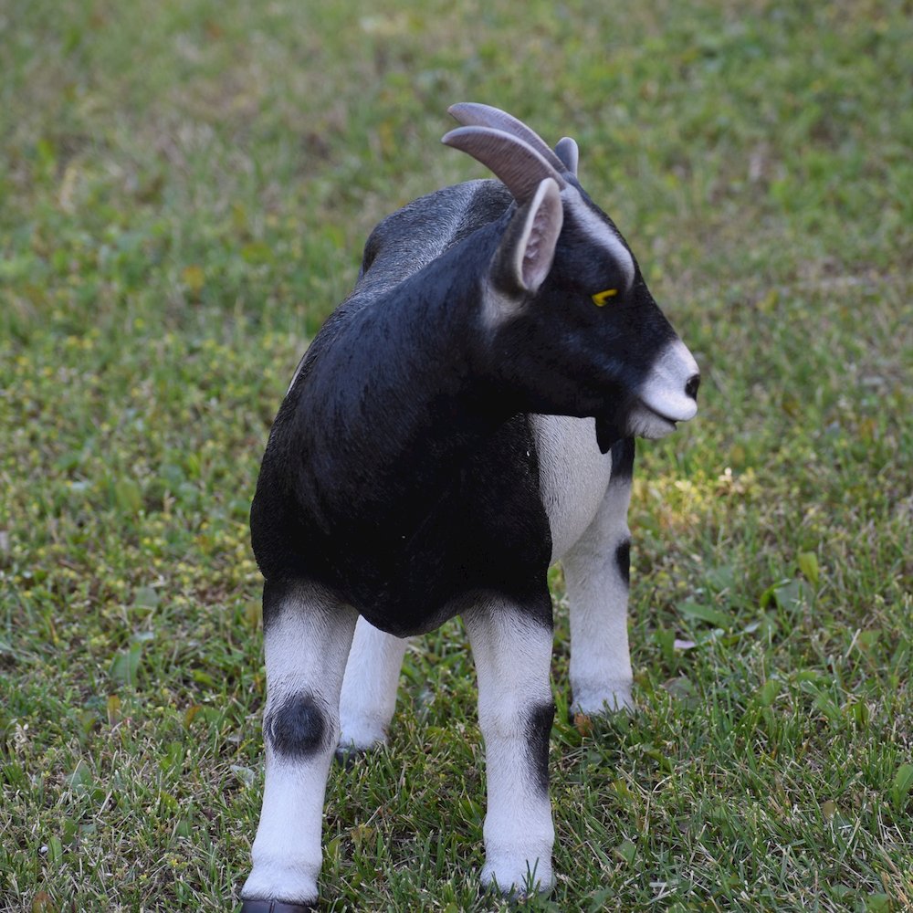Goat Statue. Picture 4