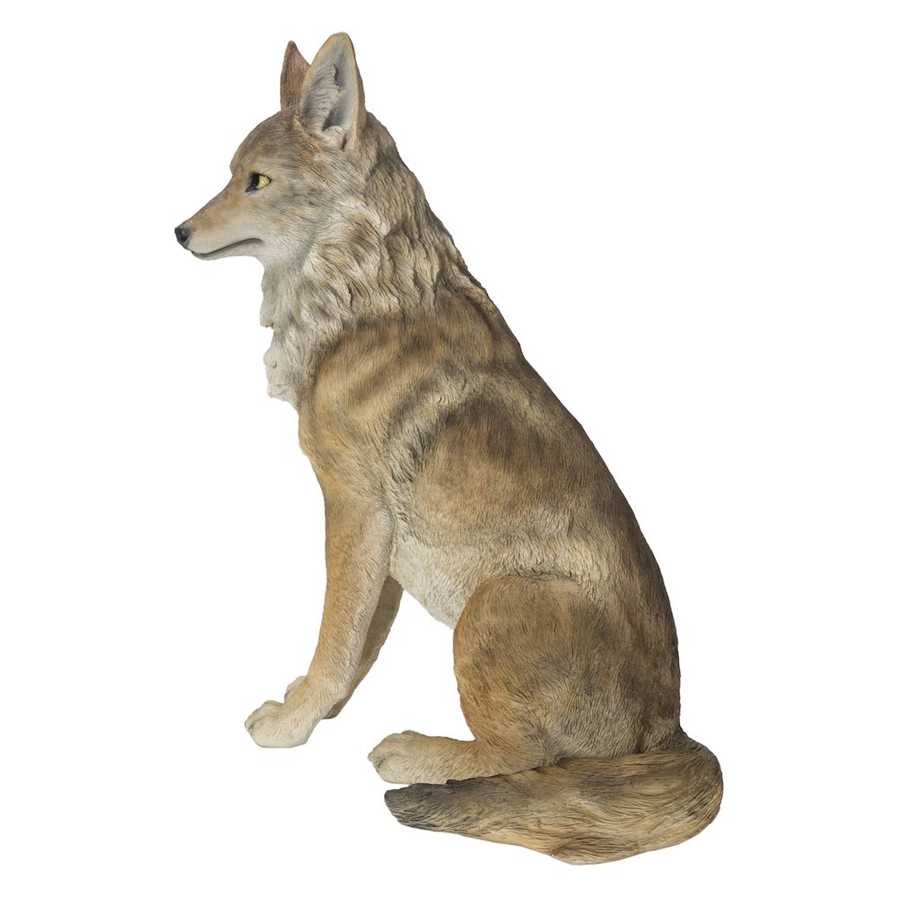 Sitting Coyate Statue. Picture 3