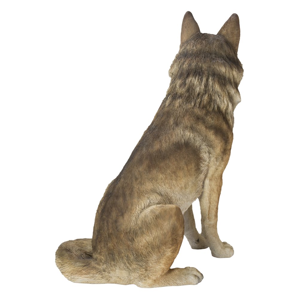 Sitting Coyate Statue. Picture 4