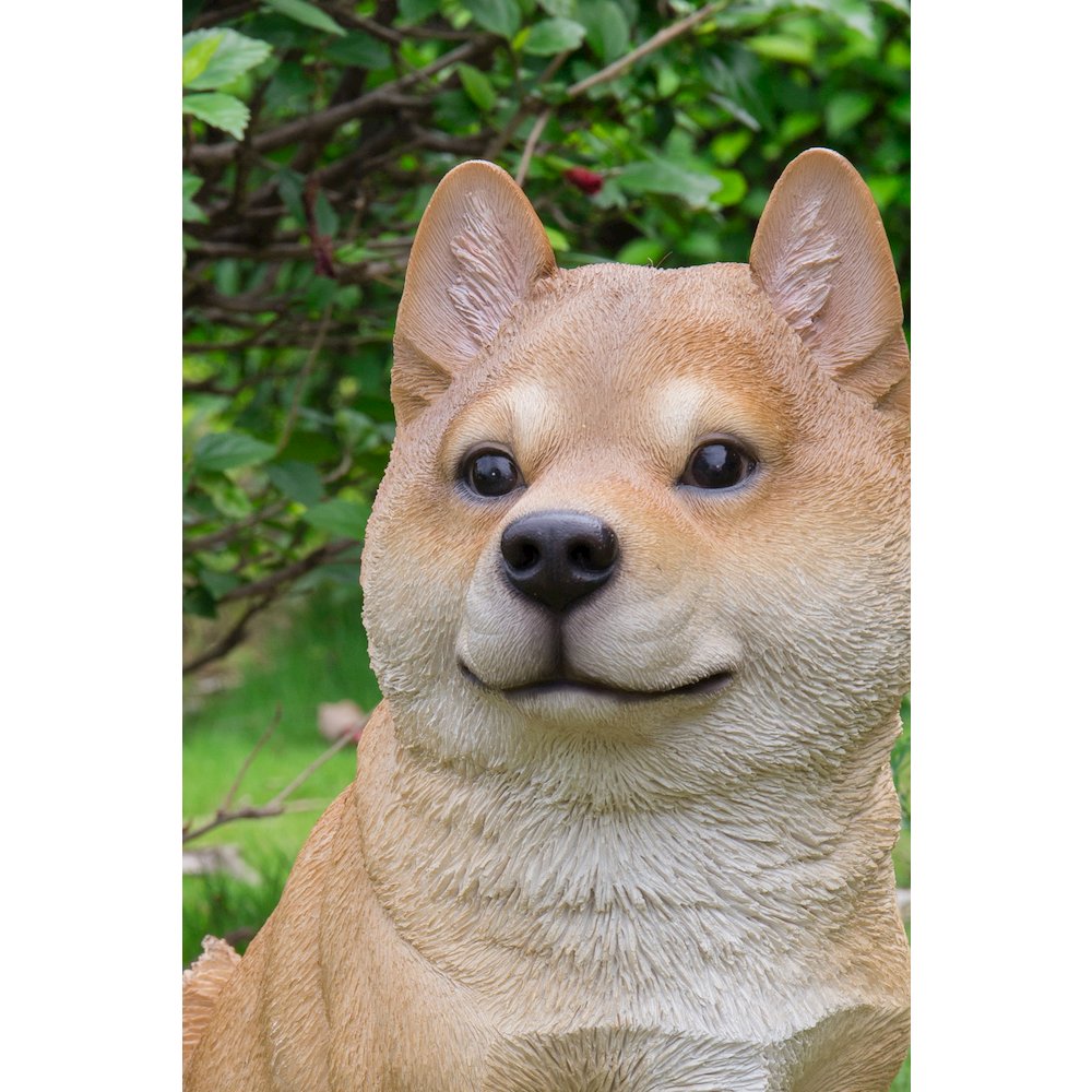Shiba Inu Sitting Statue. Picture 3