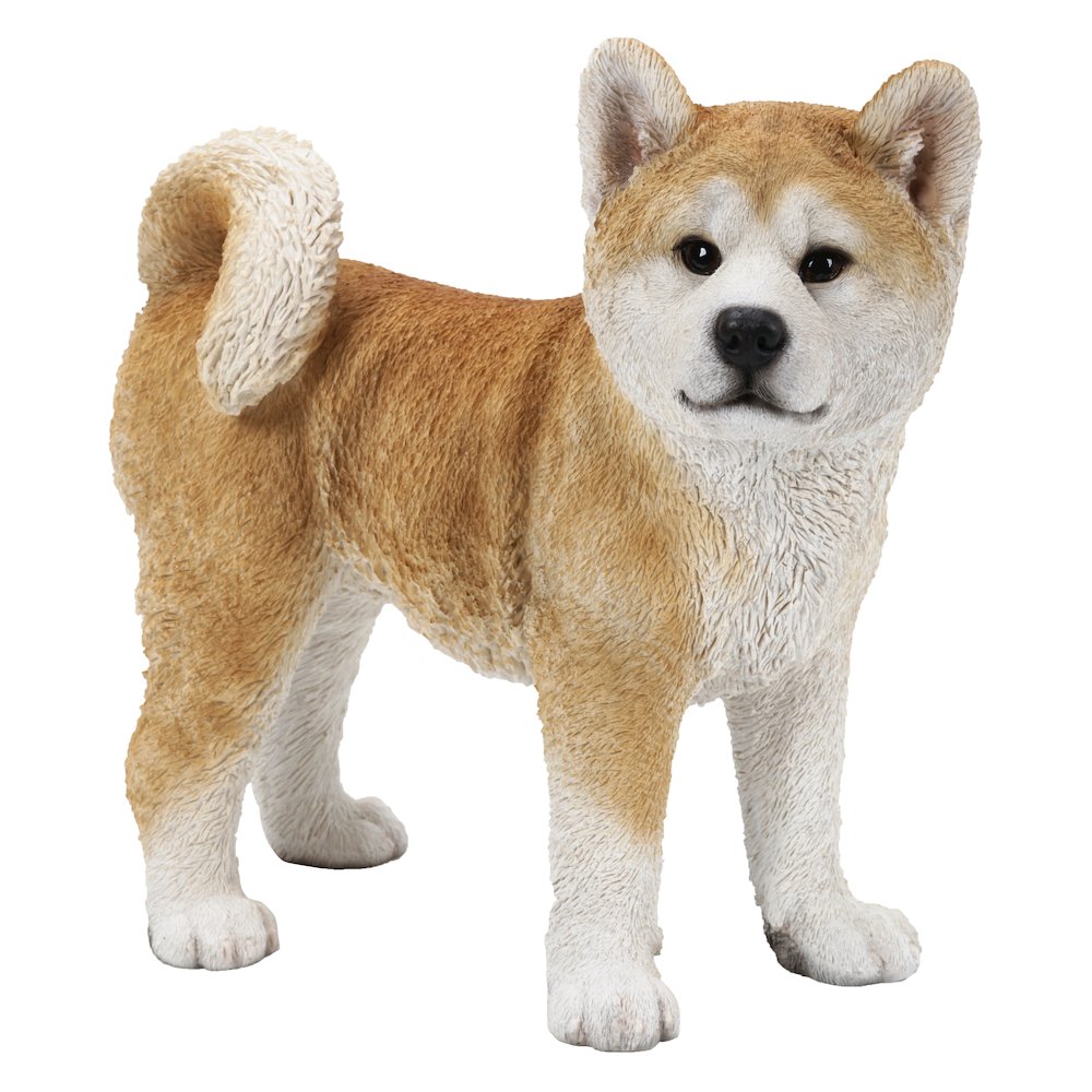 Akita Dog Standing Statue. Picture 1