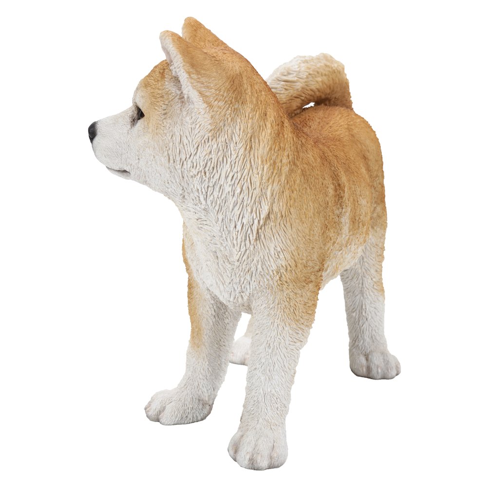 Akita Dog Standing Statue. Picture 5