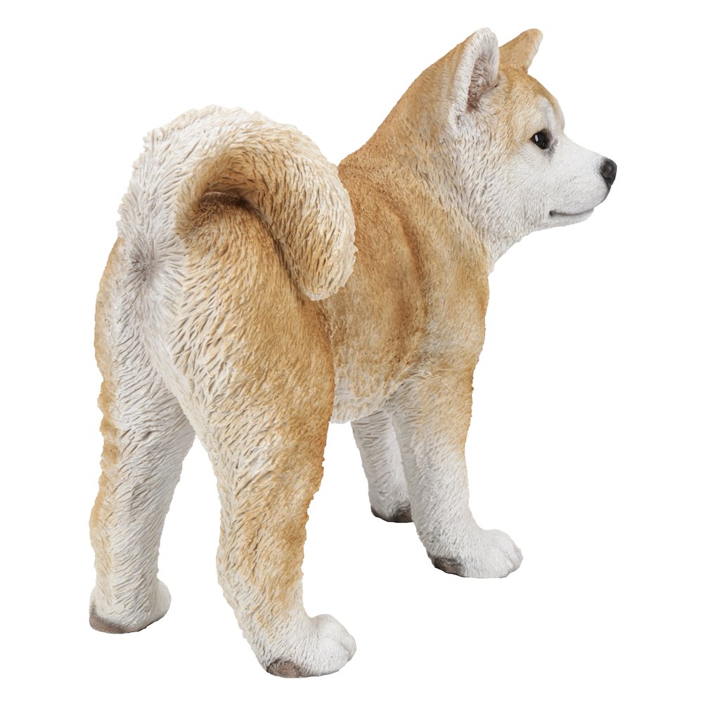 Akita Dog Standing Statue. Picture 6