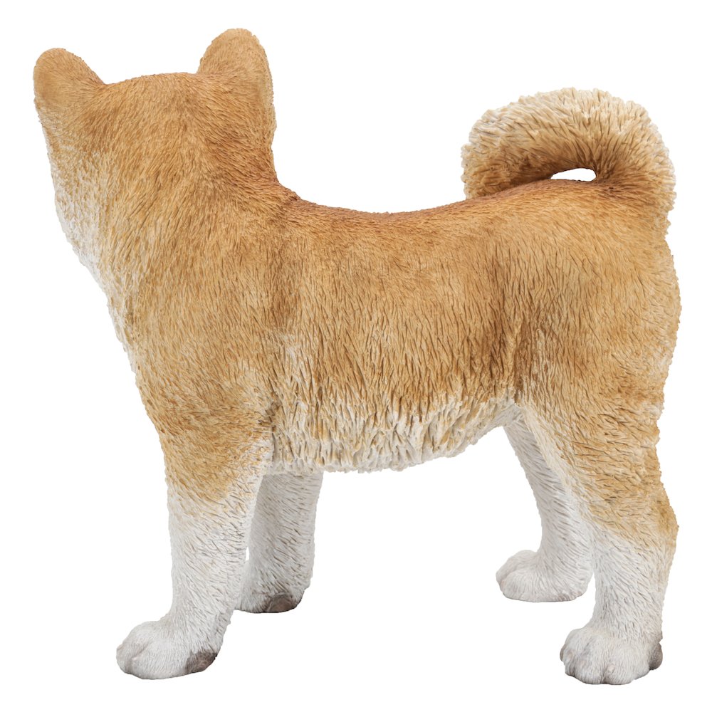 Akita Dog Standing Statue. Picture 4