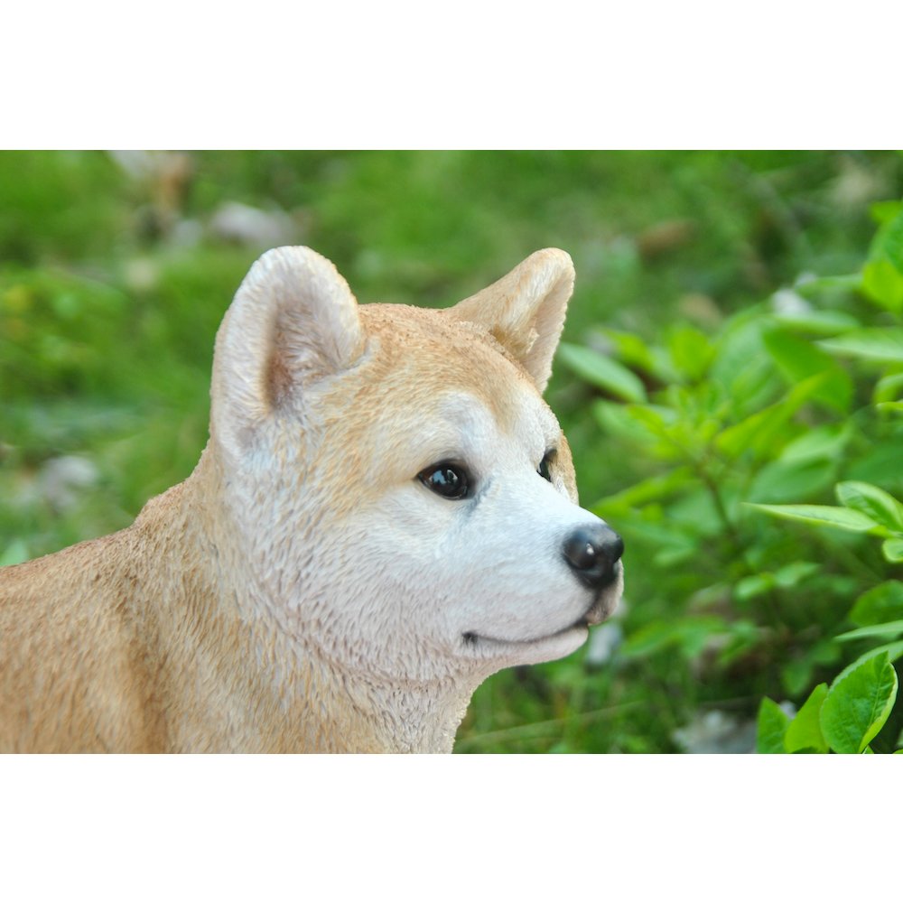 Akita Dog Standing Statue. Picture 3