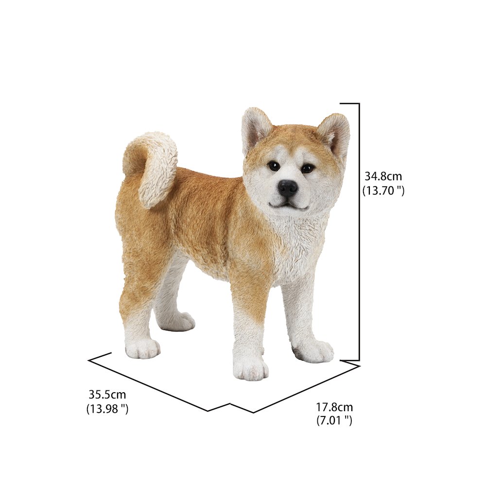 Akita Dog Standing Statue. Picture 2