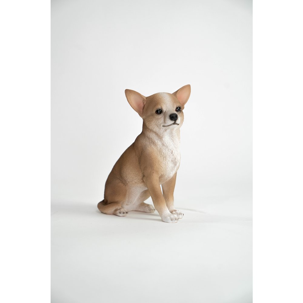 Sitting Chihuahua. Picture 1