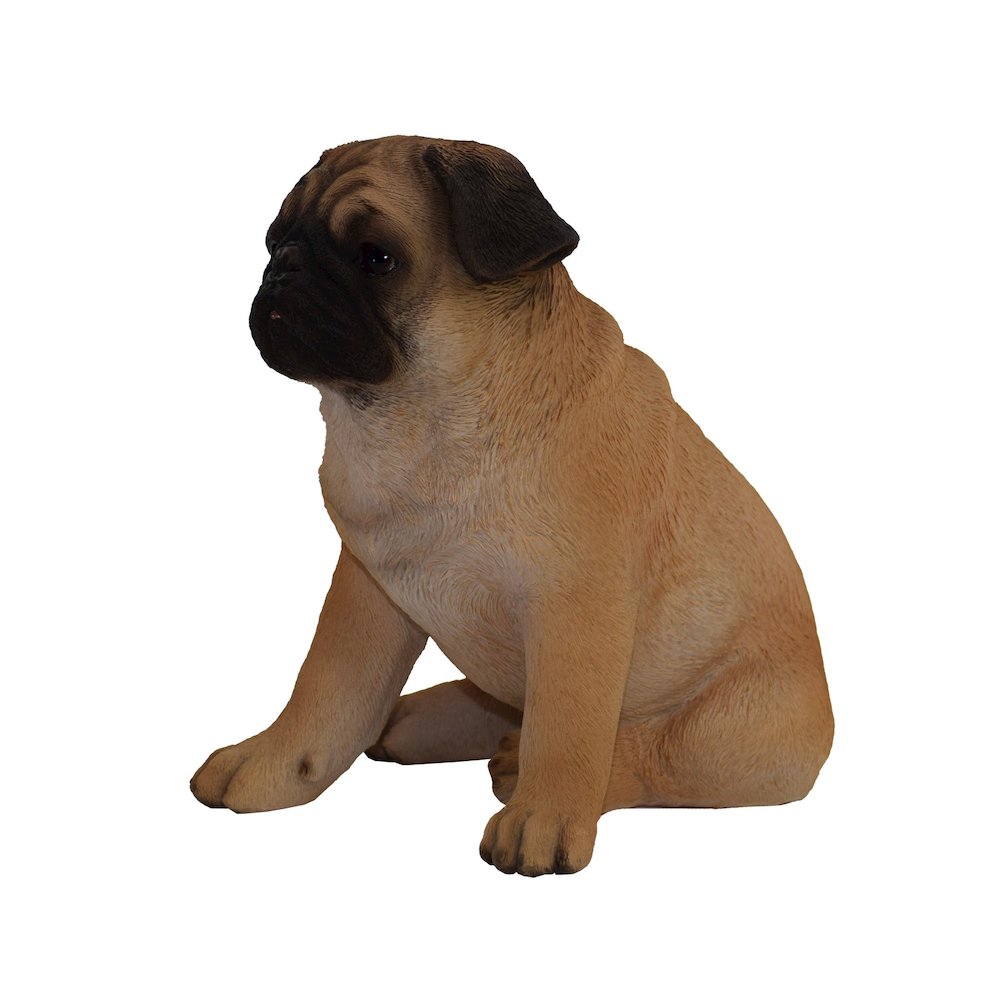 Sitting Pug. Picture 1