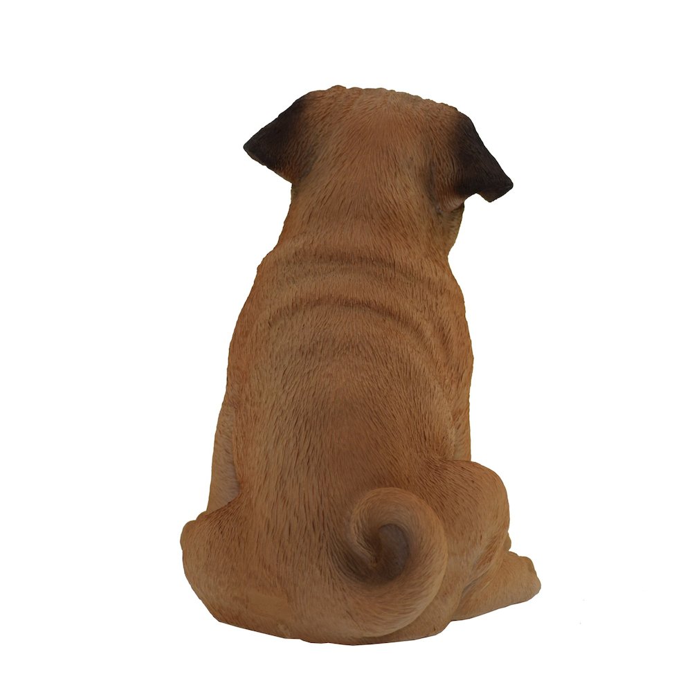 Sitting Pug. Picture 3