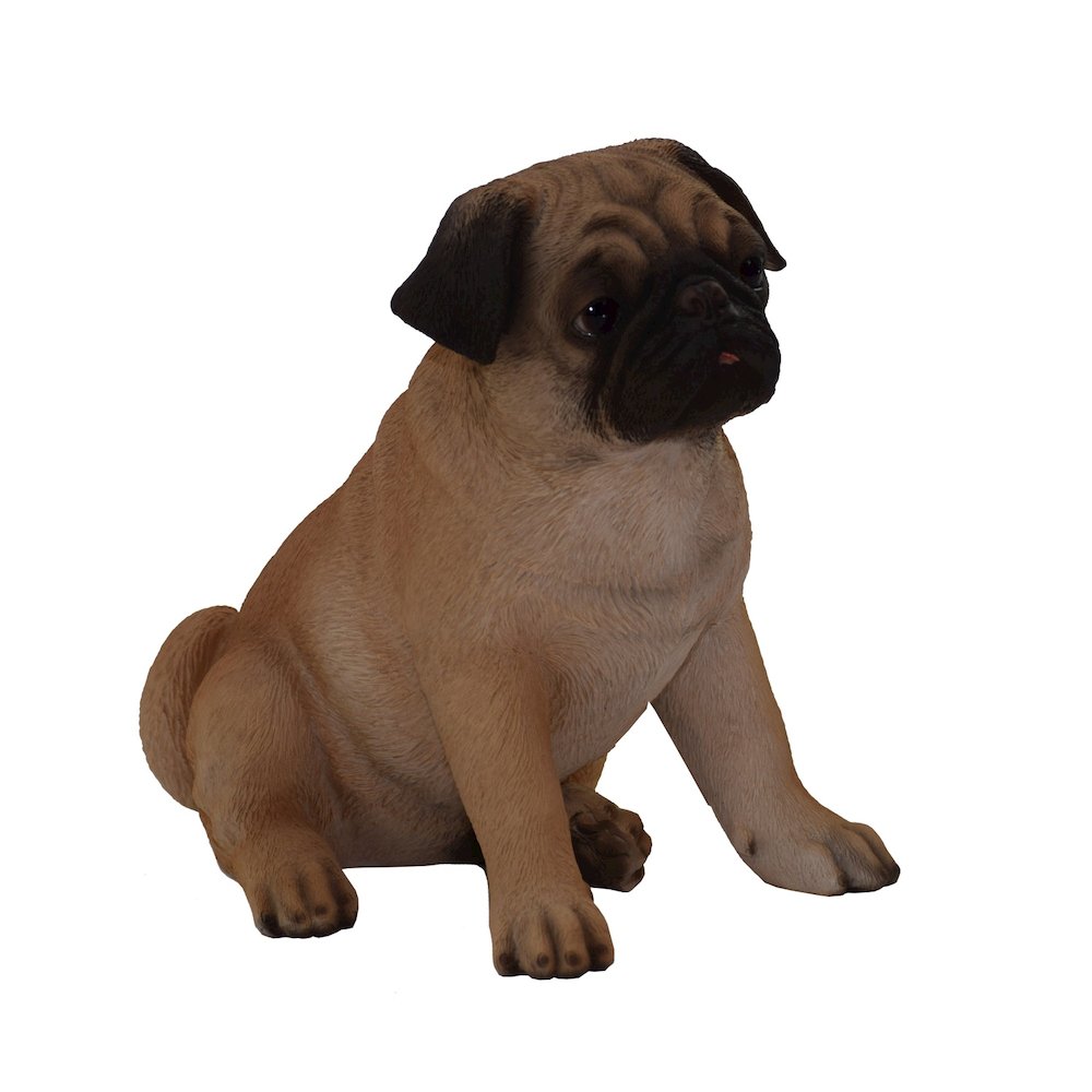 Sitting Pug. Picture 2
