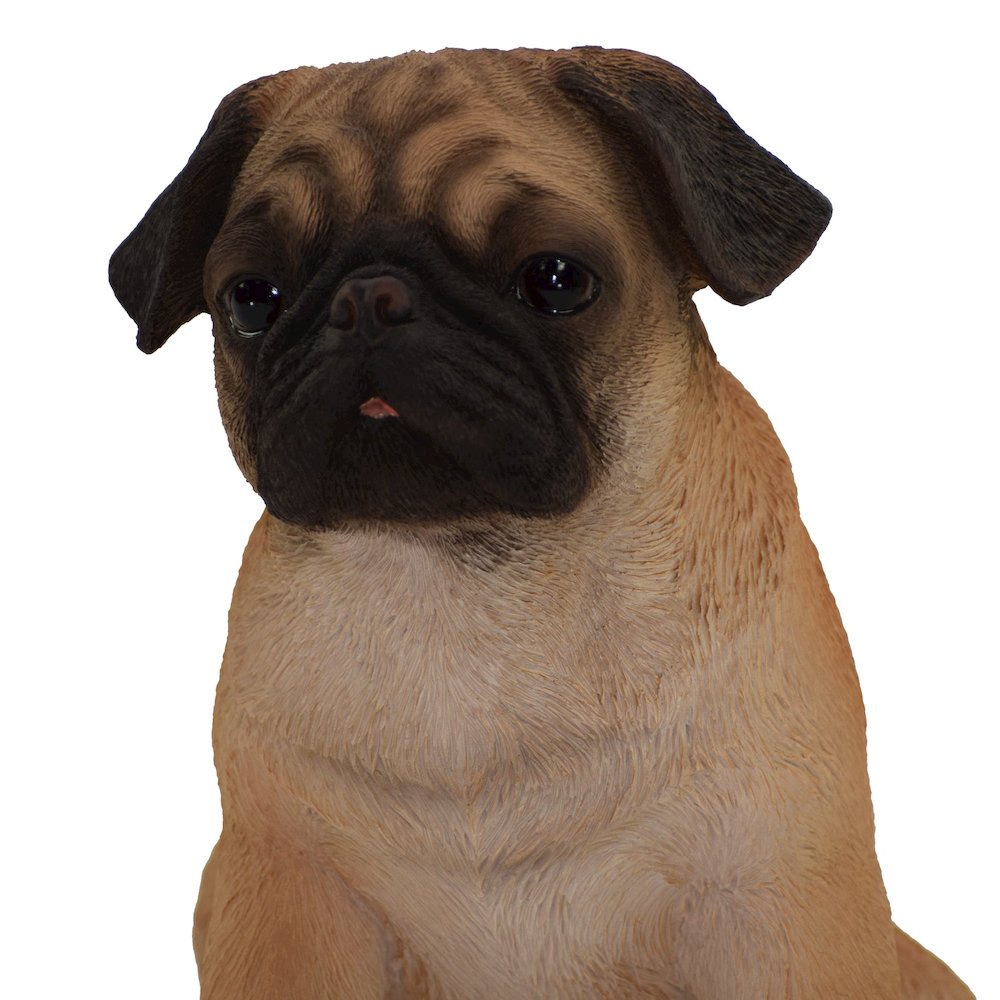 Sitting Pug. Picture 4