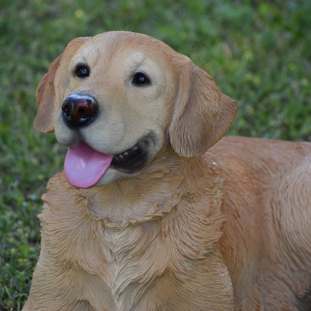 Golden Retriever Lying Down Statue. Picture 6