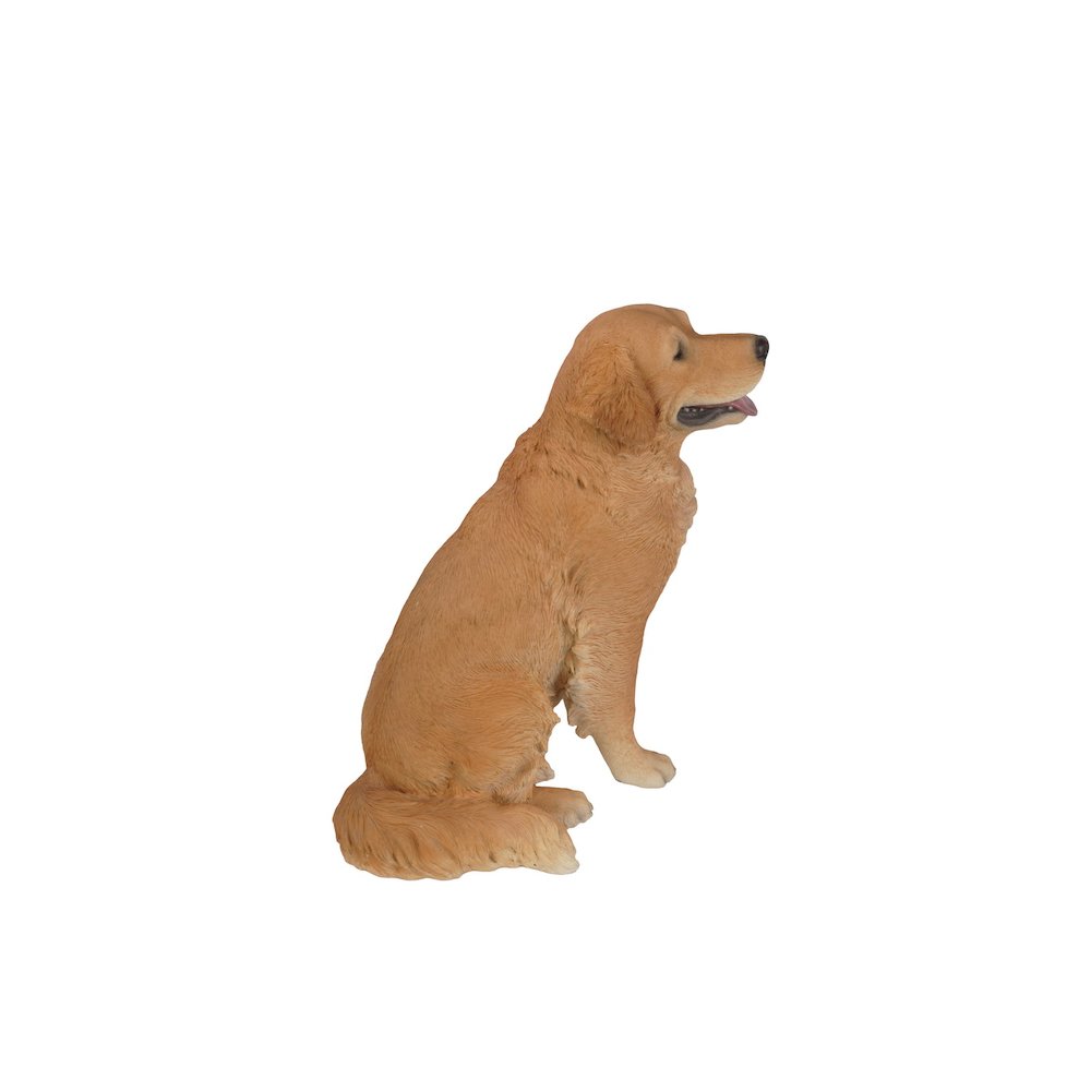 Sitting Golden Retriever. Picture 2
