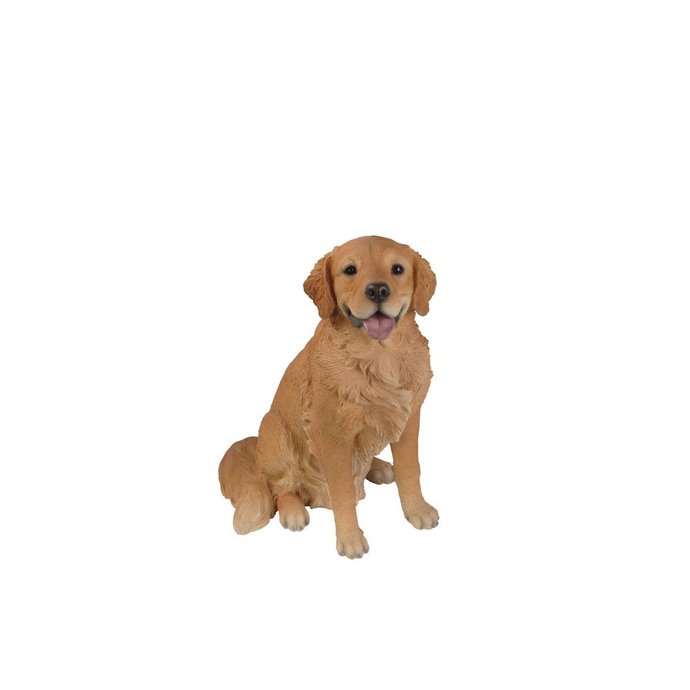 Sitting Golden Retriever. Picture 1