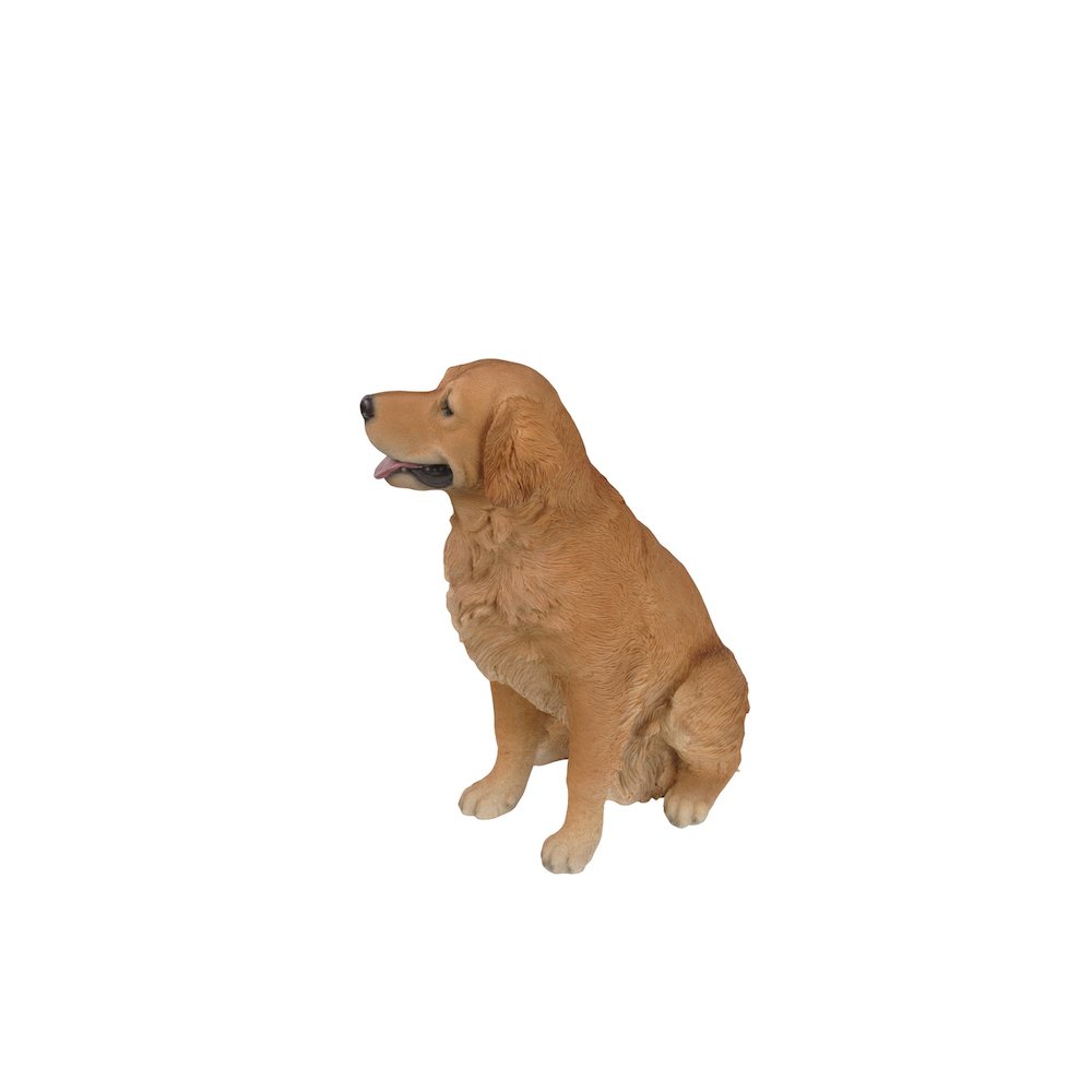 Sitting Golden Retriever. Picture 3