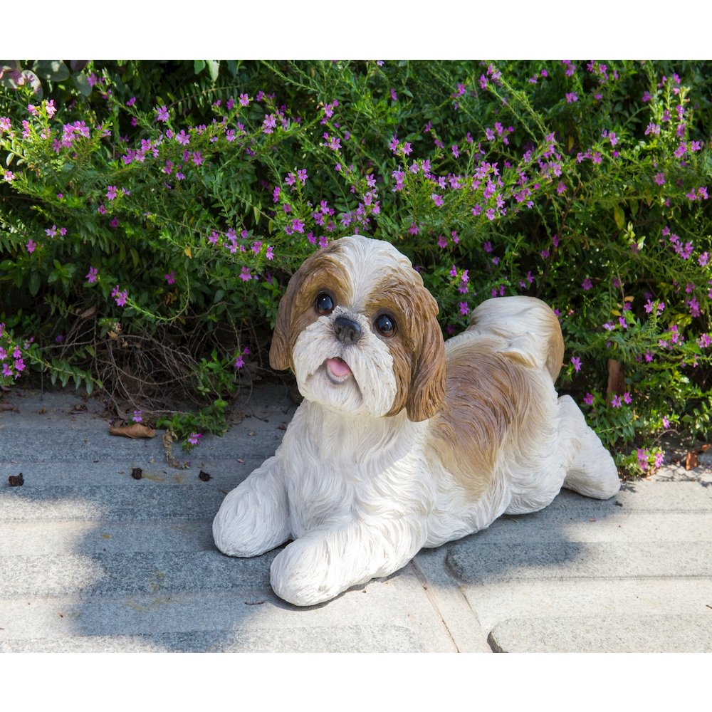 Shih Tzu Lying Down - Brown/White. Picture 5