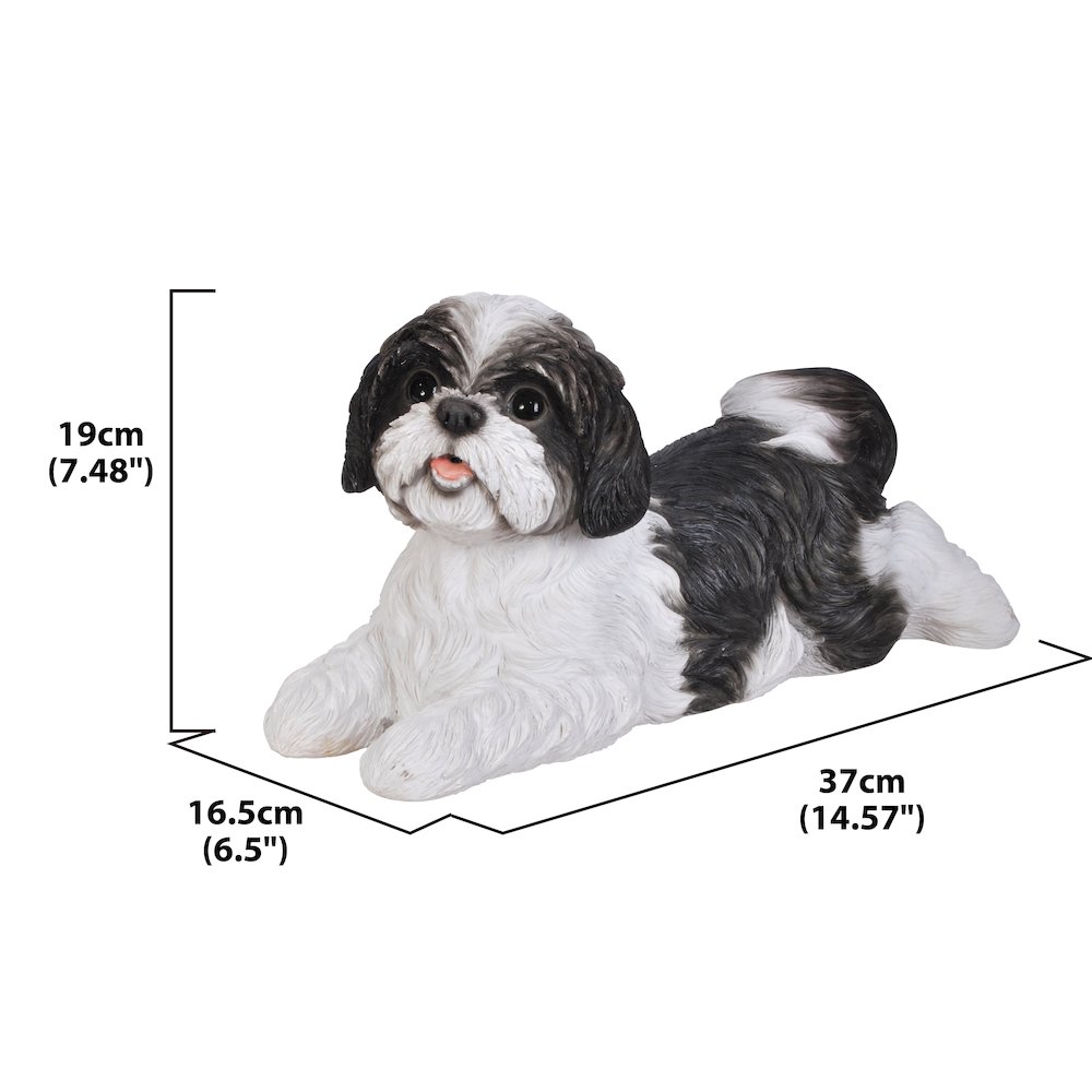 Shih Tzu Lying Down - Black/White. Picture 5