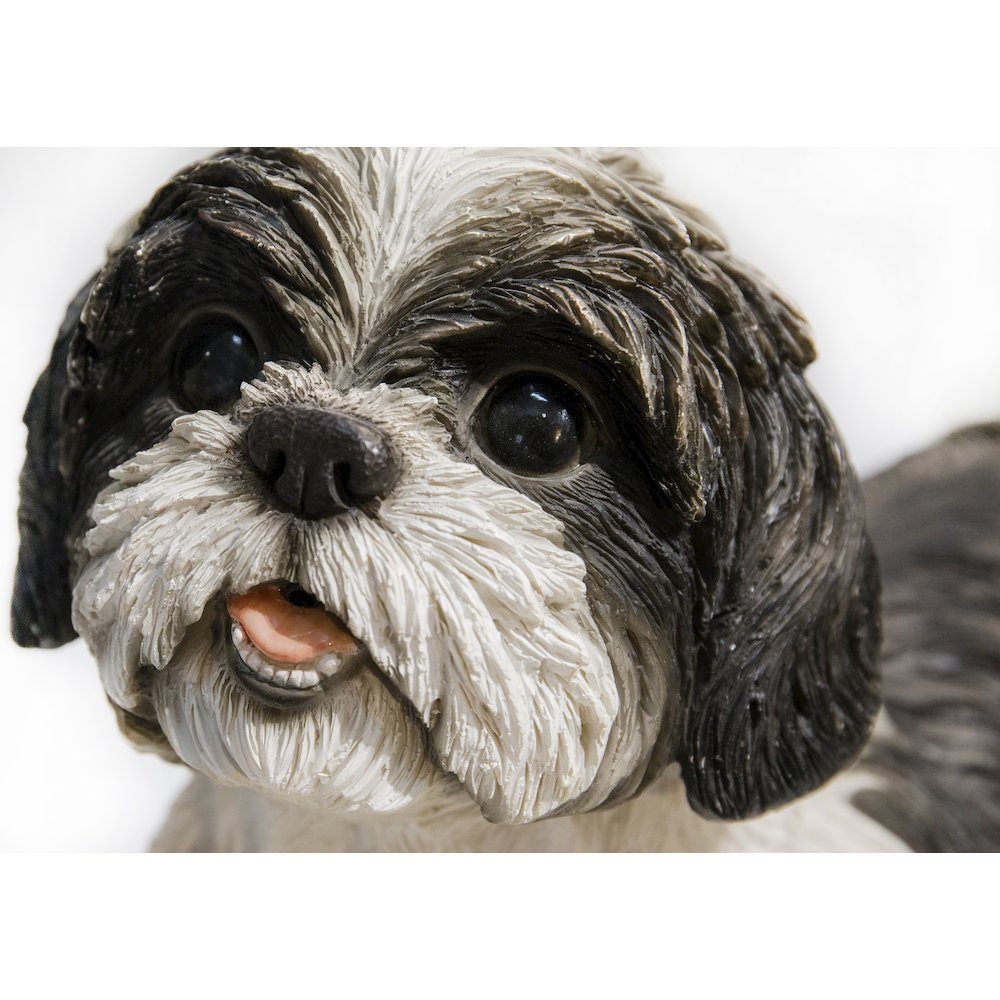 Shih Tzu Lying Down - Black/White. Picture 6